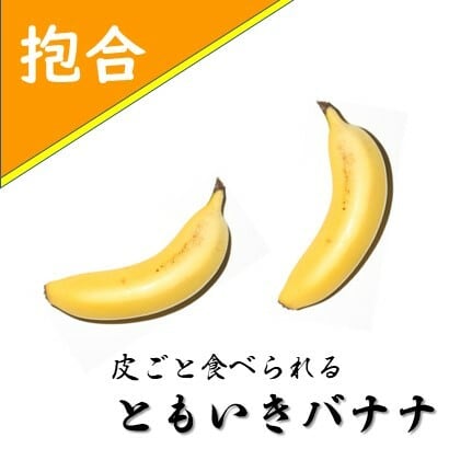 ともいきバナナ抱合５セット入り