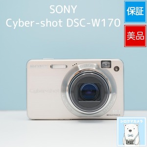 SONY Cyber-shot DSC-W170 デジカメ 美品 シロクマカメラ a7520