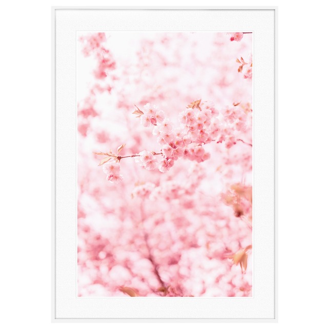 春 桜の写真 インテリアアートポスター額装 AS1472