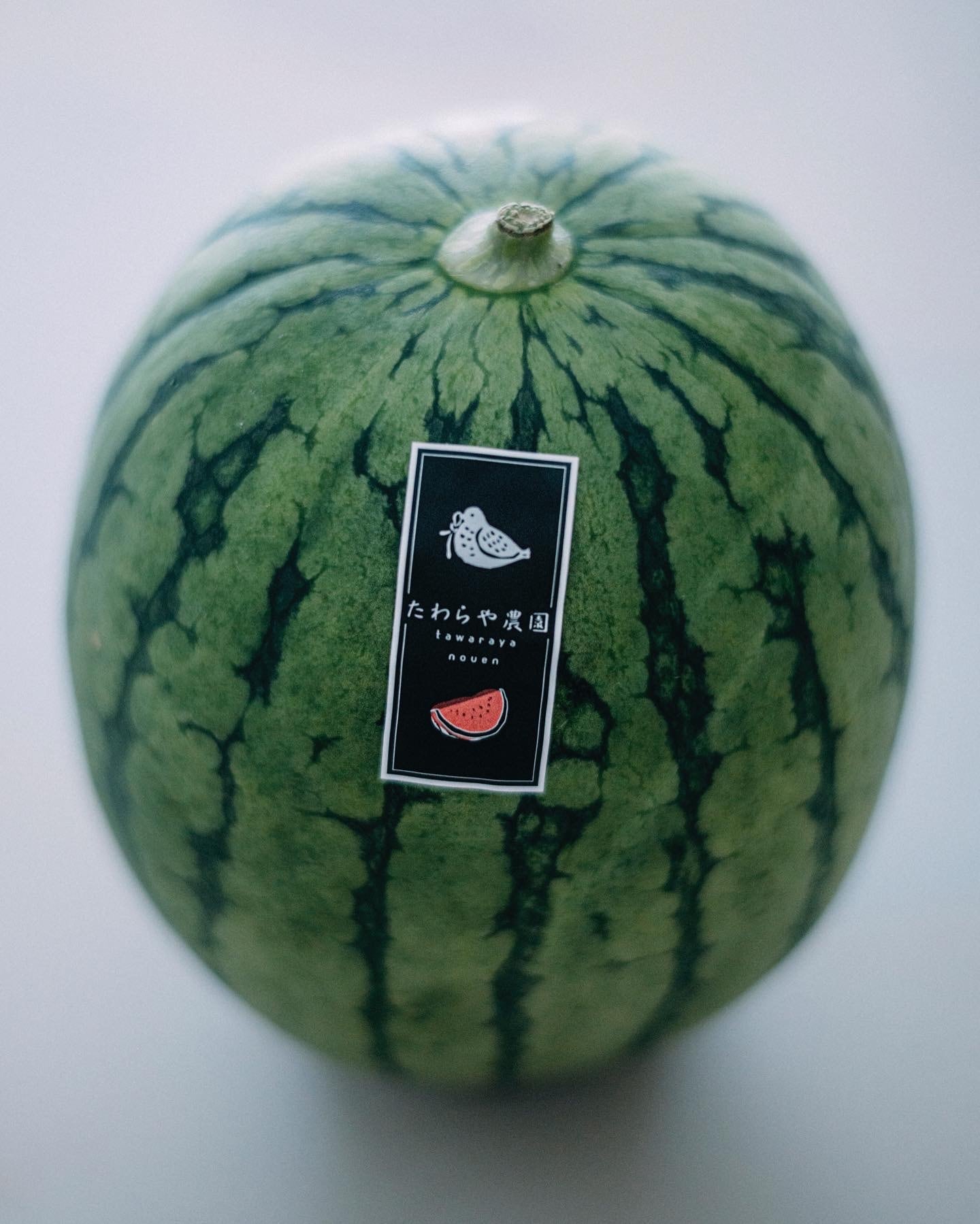 すいか Amazon.co.jp: すいか 松本ハイランドすいか A等級 5Lサイズ以上 約