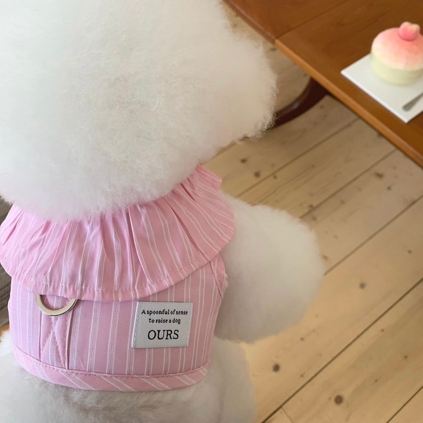ours,】当店限定ブランド | ropet