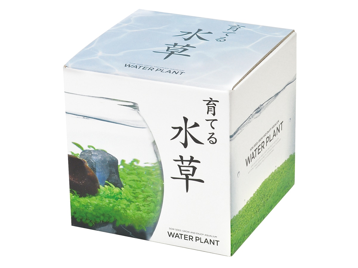 水草育成 antaeus7toy 育てる水草(S) | タネペラ