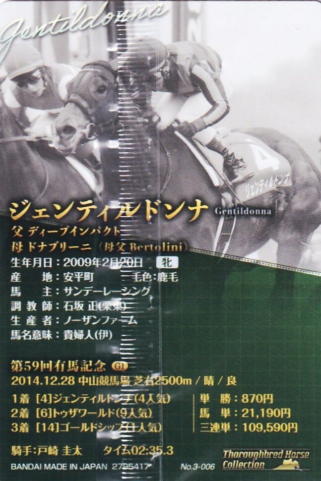 ジェンティルドンナ：第59回 有馬記念「サラブレッドホース