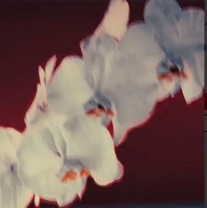 〈残り1点〉【12"】Kat Rose & Mikekon - I See You (Incl. Coflo, Yoruba Soul, Ritmiq Mixes)