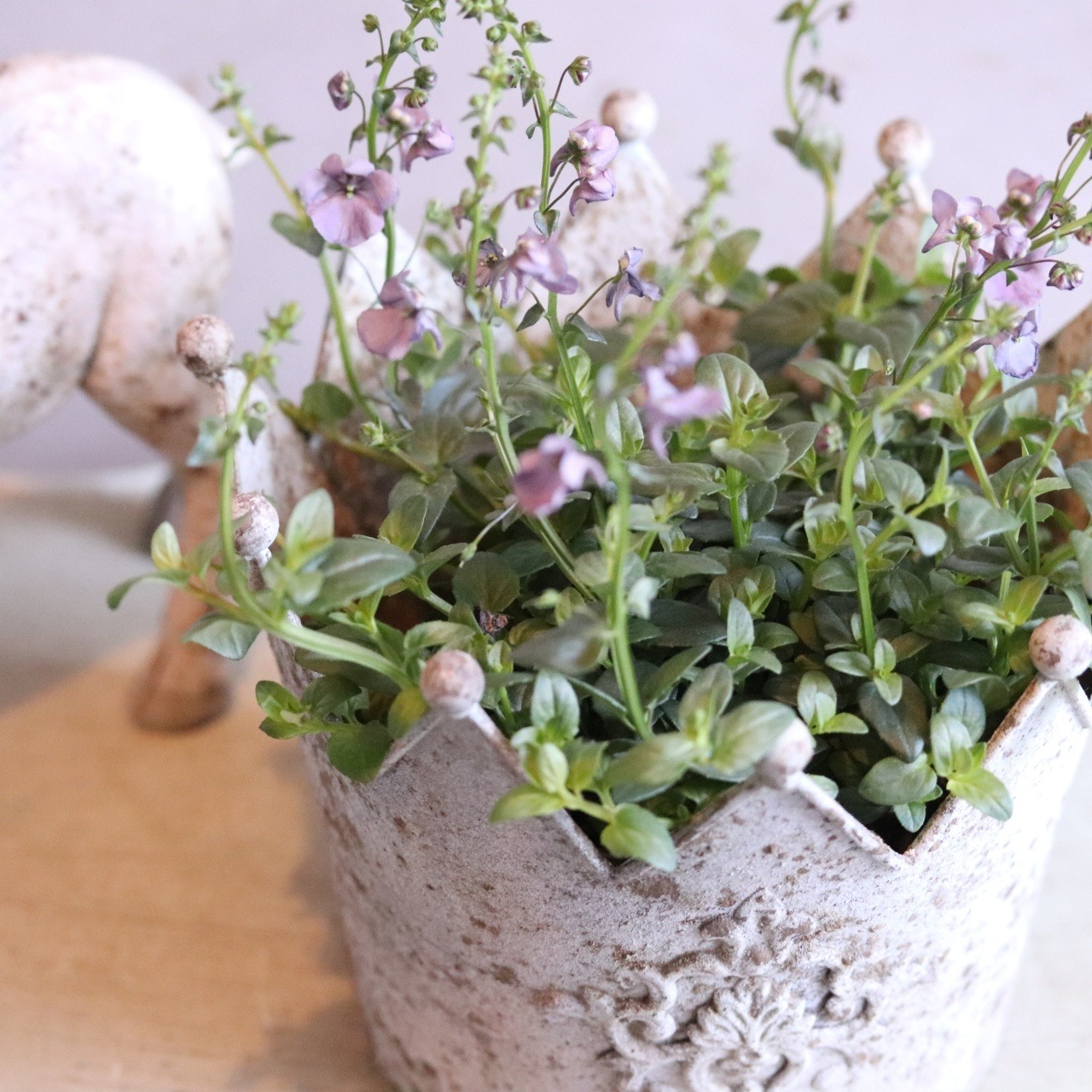 mondimanche 植木鉢　クローヌポットSW｜シャビーシック　王冠デザインでお花とよく合う　UF621