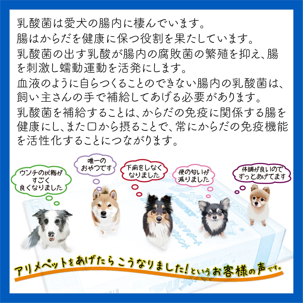 アリメペット 60g【 犬用 】 | 株式会社日本生菌研究所