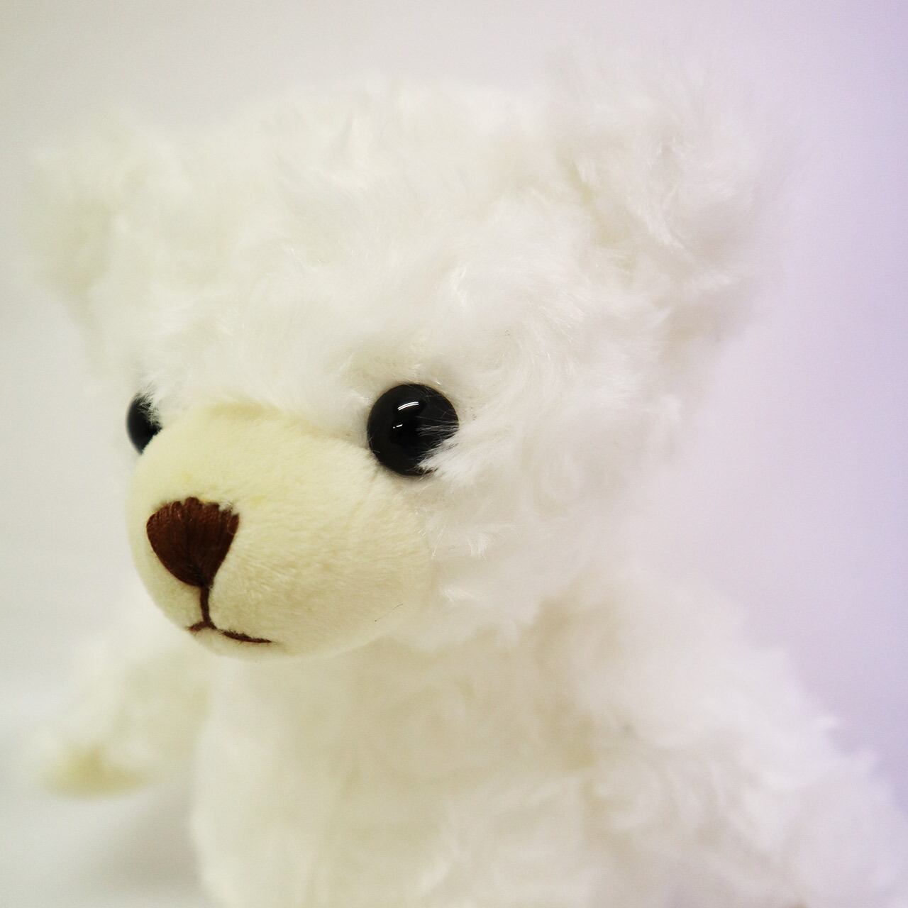 テディベア ホワイト 小(25cm) | ぬいぐるみランド|癒し系グッズ テディベア ホワイト 小(25cm) | ぬいぐるみランド|癒し系グッズ