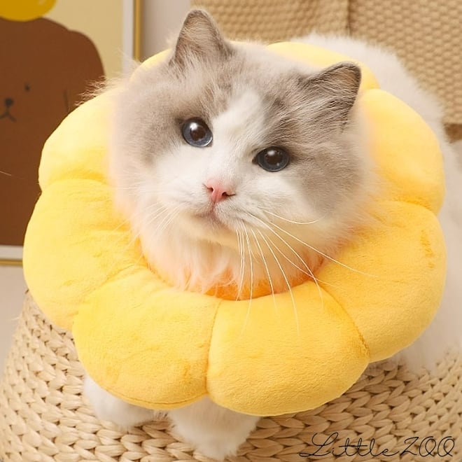 (限定特価中)(猫砂2袋プレゼント中) (ステップセット) [自動猫トイレ CATLINK SCOOPER SE 本体] 猫 ねこ ネコ 自動ネコトイレ 猫トイレ 知育 ０才～ いつでも清潔！ふた付お砂場セット ＳＴＥＰ２ かにさん