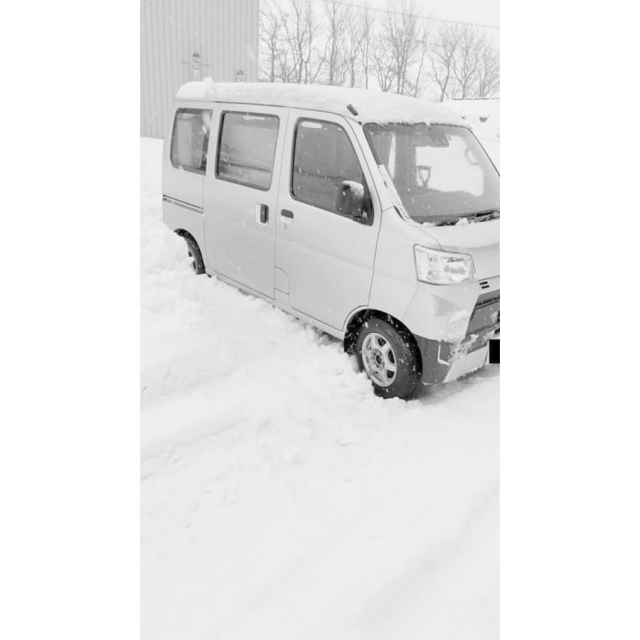 エストック トラック用スノーヘルパー 2枚1セット(鉄製) 大型用 エストック トラック用スノーヘルパー 2枚1セット(鉄製) 大型用
