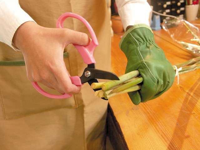 アルスコーポレーション 業務用花はさみ フルール(ピンク) FP-17-P