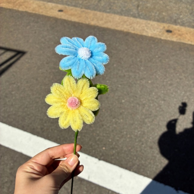 【アウトレット】マーガレット ＜展示品＞