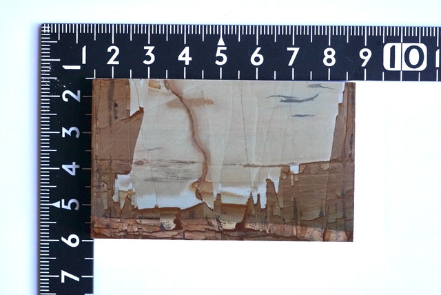 パエジナストーン Paesina Stone 20