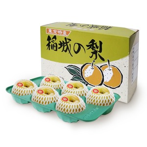 稲城の梨「新高」5～6個　特選中玉～大玉　約4kg　※箱は諸事情により変更となります。