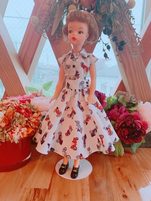 タミーちゃん　セットアップ