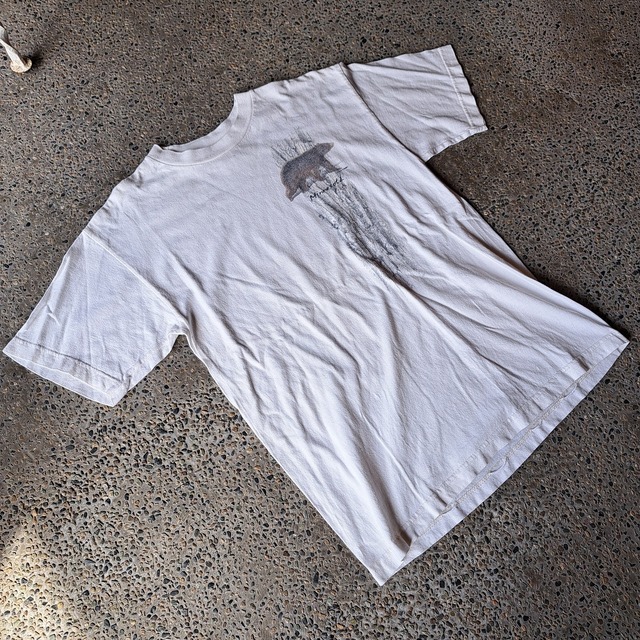 "Minnesota" プリントTシャツ used [404051]