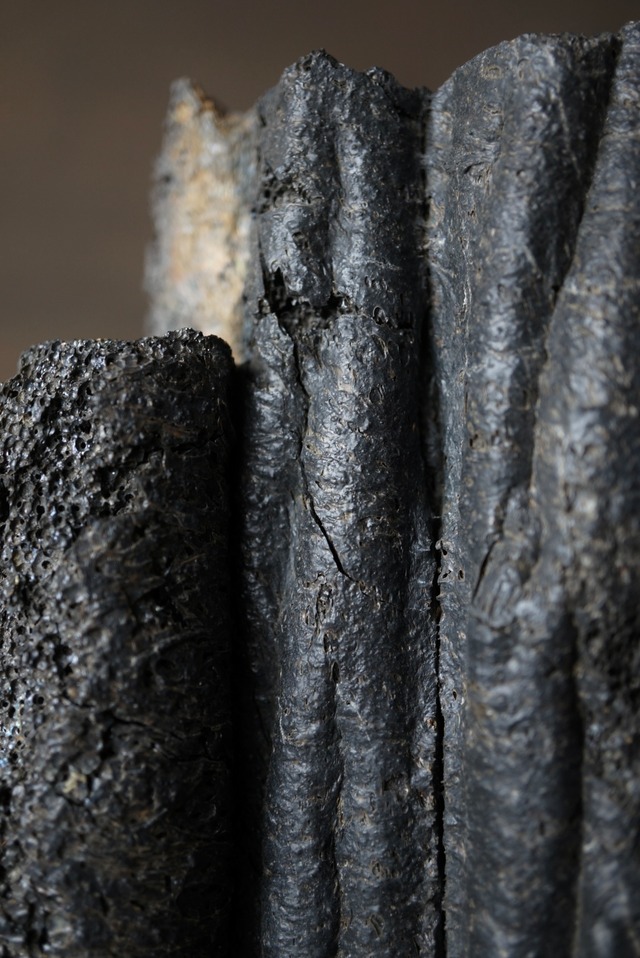 パホイホイ溶岩 Pahoehoe Lava 1408