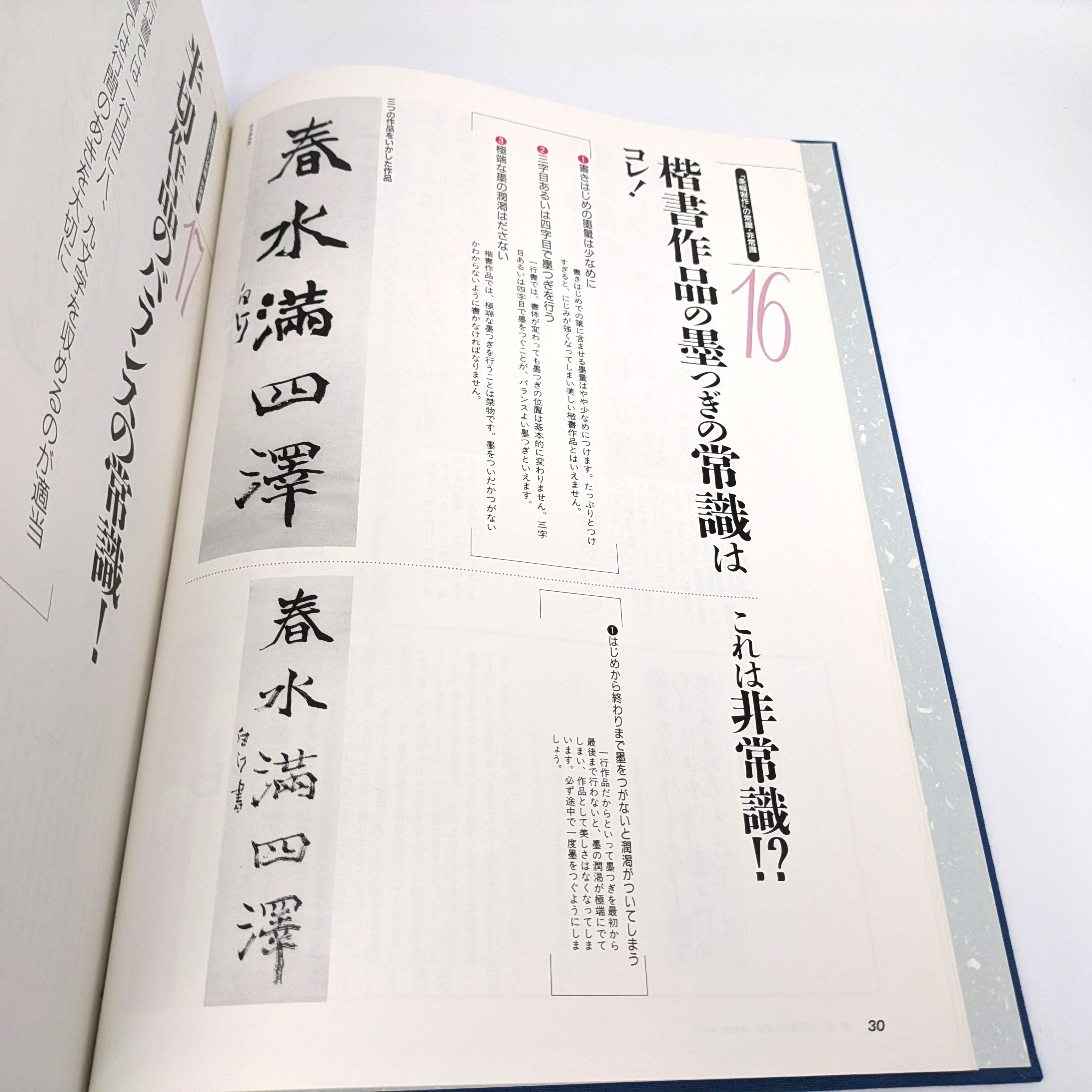 四季を書く 条幅技法百科 - メルカリ お値下げ＊日本書道協会 全2冊 