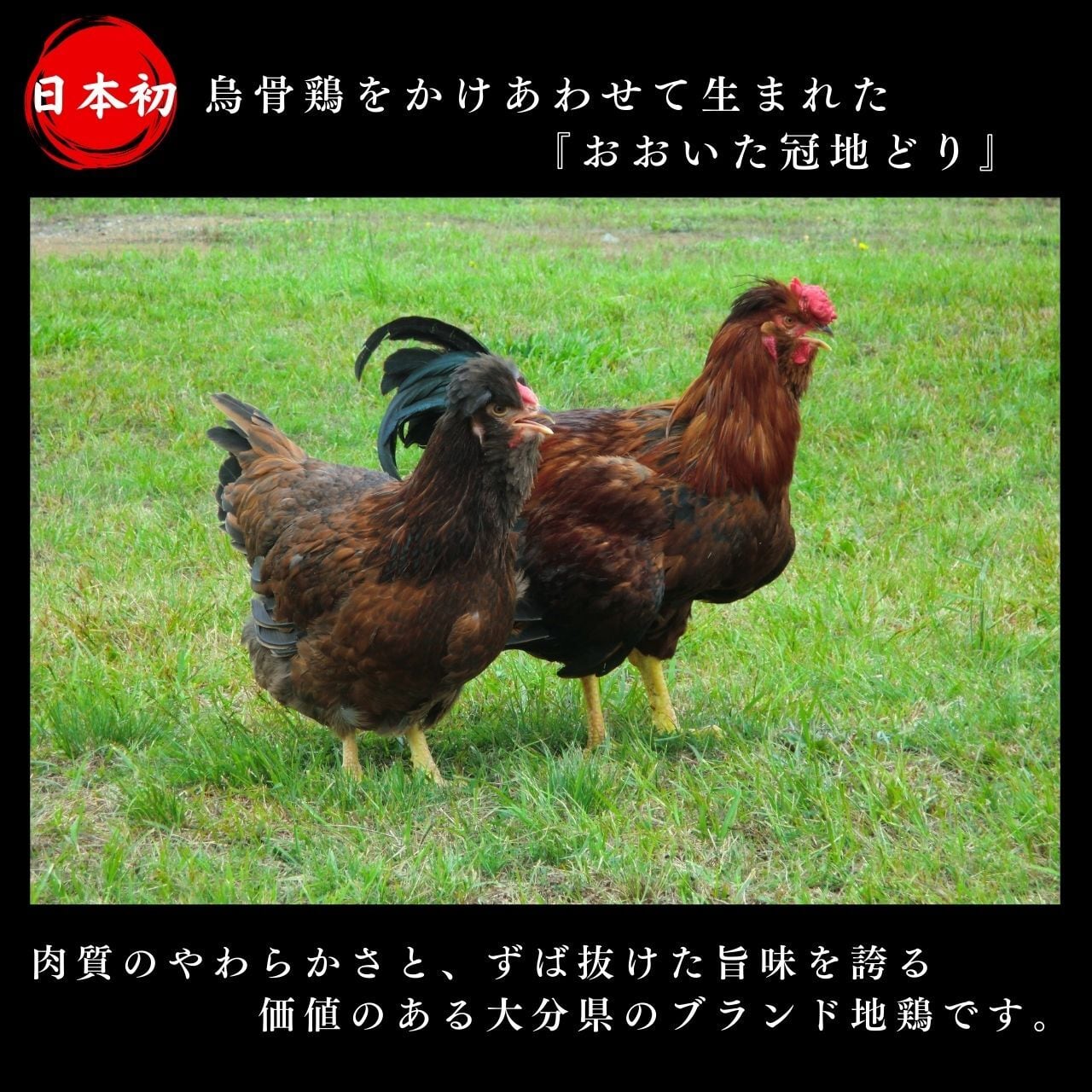 冠地どりチキンバー直火焼き（150g×2袋）