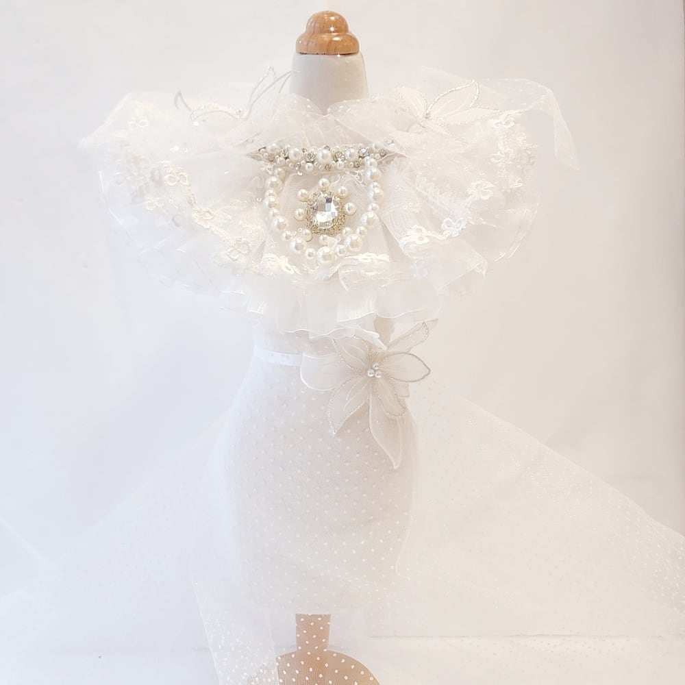 予約【PARTYC】Dew Cape