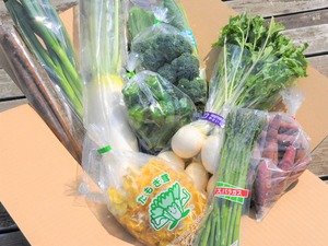 【送料無料】旬のきまぐれ野菜セット　メロン入り