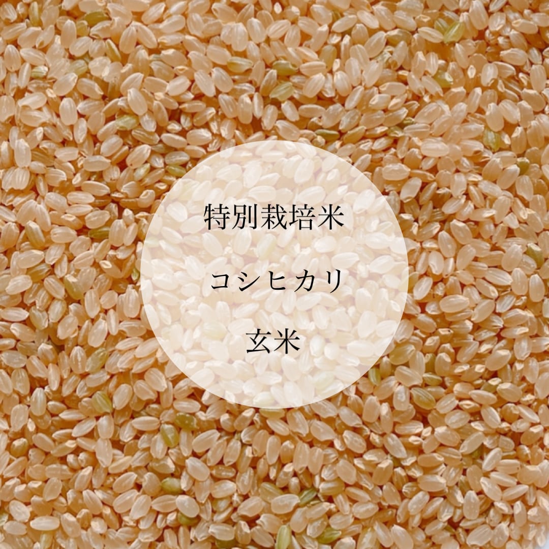 令和5年産新米 特別栽培米 玄米10kg 農薬節減（ネオニコチノイド不使用
