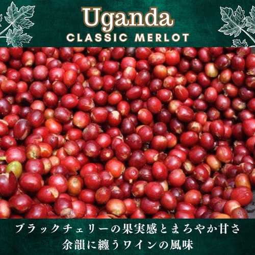 ウガンダ【 クラシックメルロー 】100g 画像