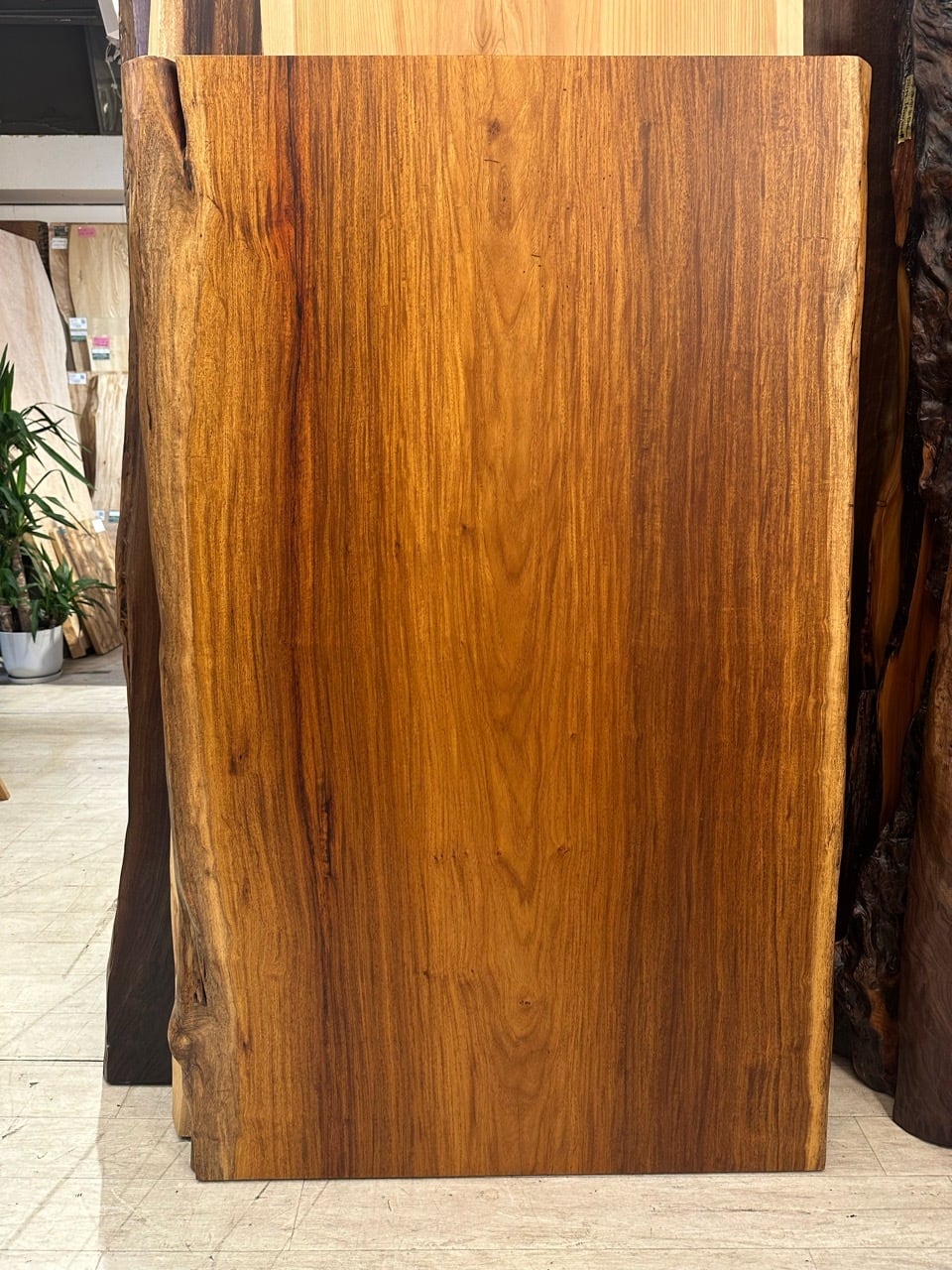 花梨(カリン)_1500×930×35_浅草本店_テーブル天板/一枚板 262742