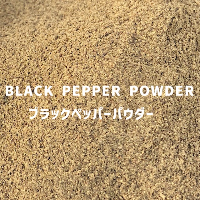 【100g】ブラックペッパーパウダー 　BLACK PEPPER POWDER 　Black Pepper Powder　【パウダータイプ 粉 粉末】 【スパイス 香辛料 調味料 薬膳 料理 味付け 乾燥 ドライ】【nature ナチュール】