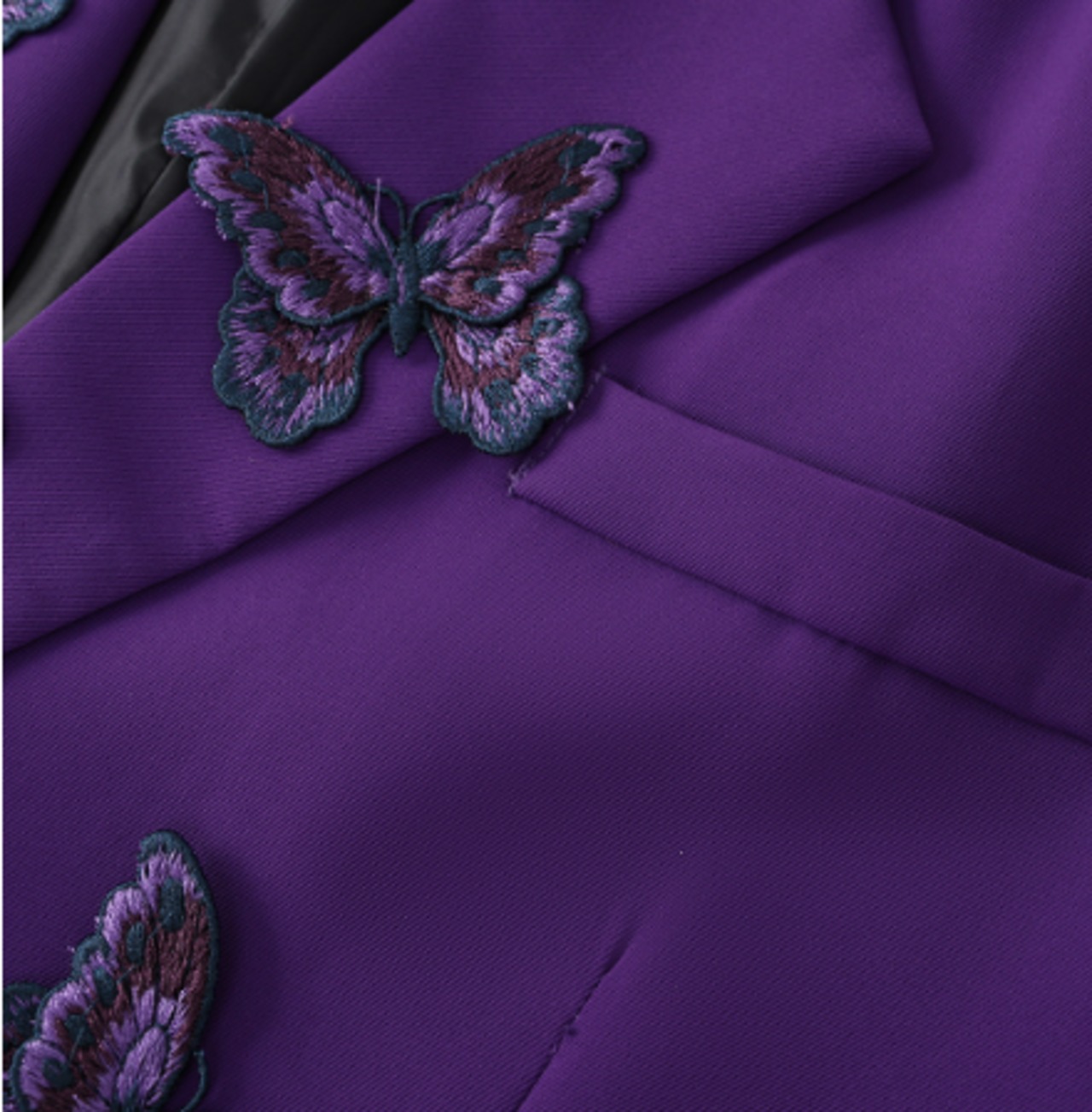 エセリアル・バタフライ　蝶のジャケット　M25138