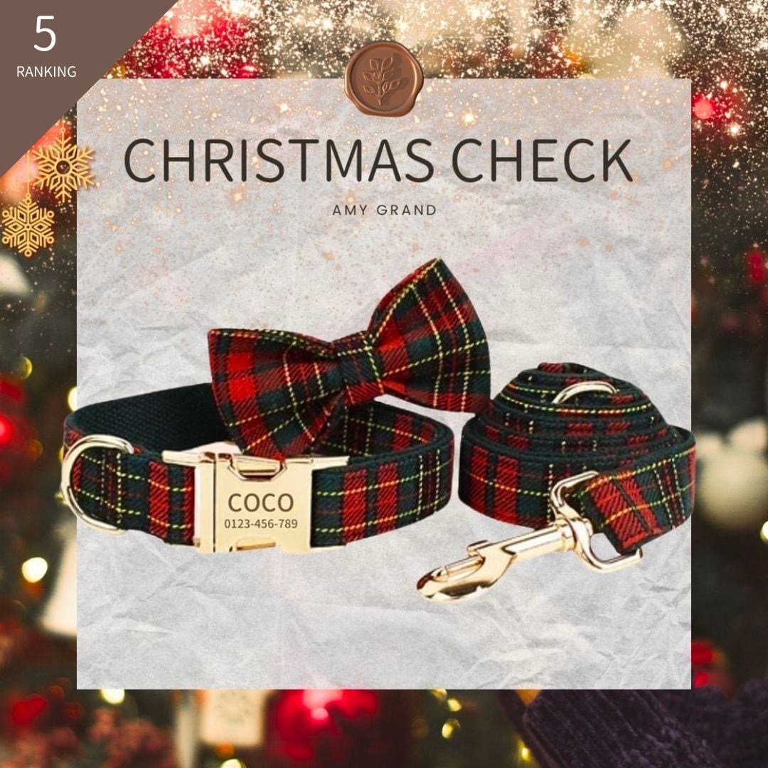 【クリスマスチェック】迷子札付犬の首輪、選べるリード、リボン