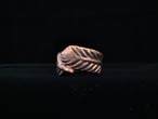 FEATHER  ~羽根~  RING