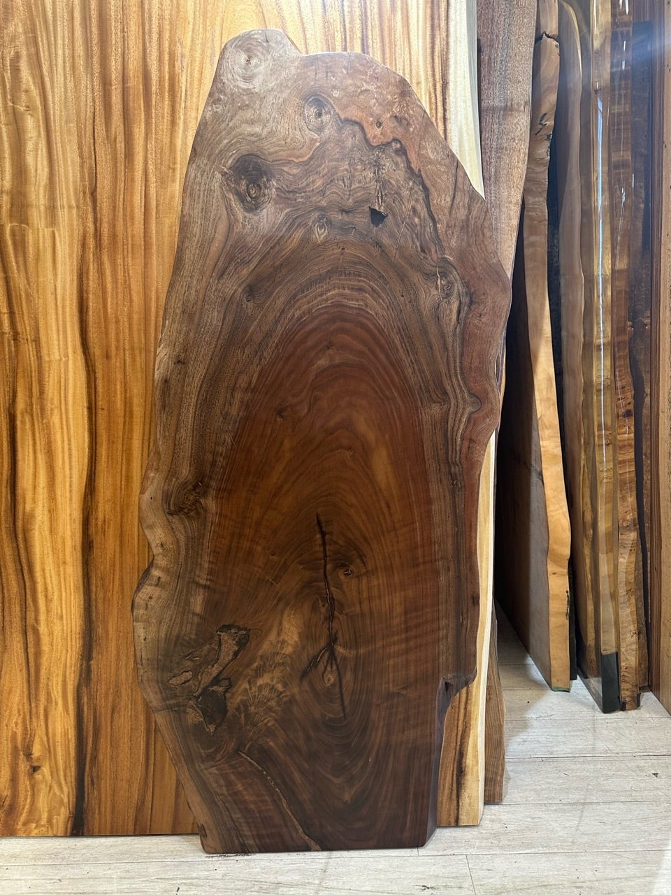 OUTLET】【輪切り】クラロウォールナット_1400×320-620×40_横浜元町店_