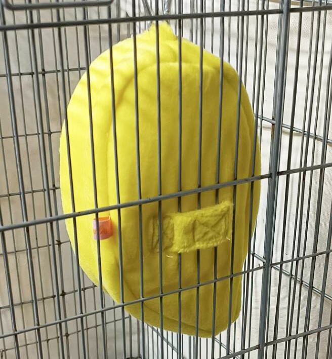 【小動物用品】もりもりフルーツポット 3点セット