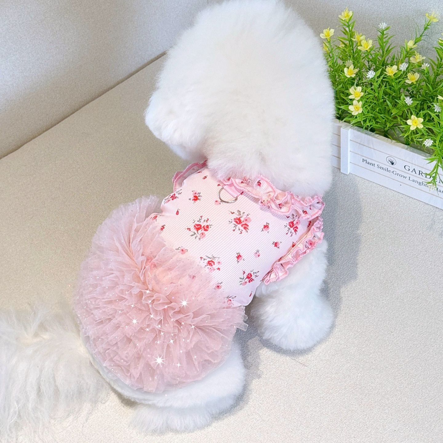 予約】ふんわりチュールフリルワンピース 犬服 小型犬用 花柄レース