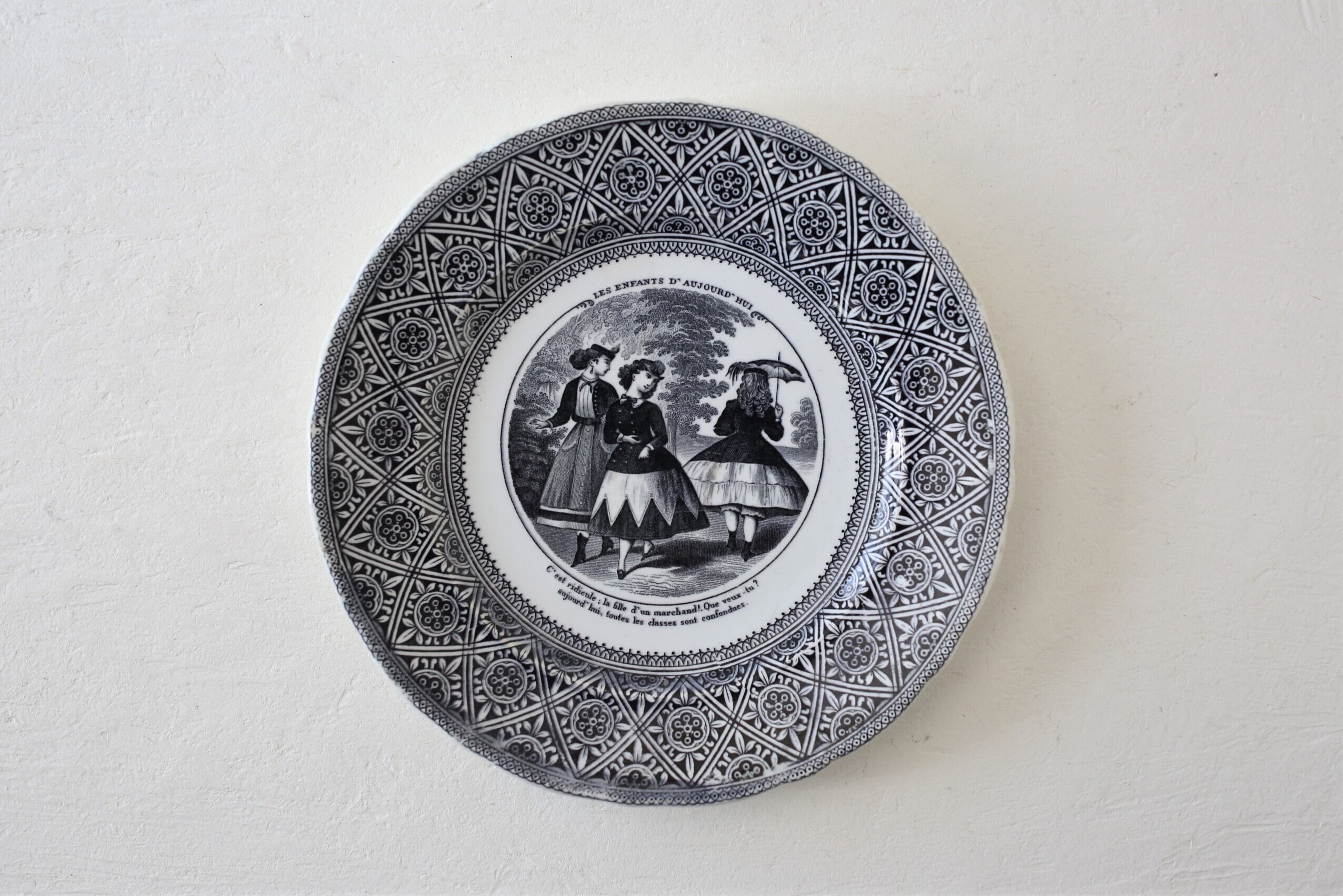 ヴィエイヤールボルドー カマイユ ディナープレート E フランス