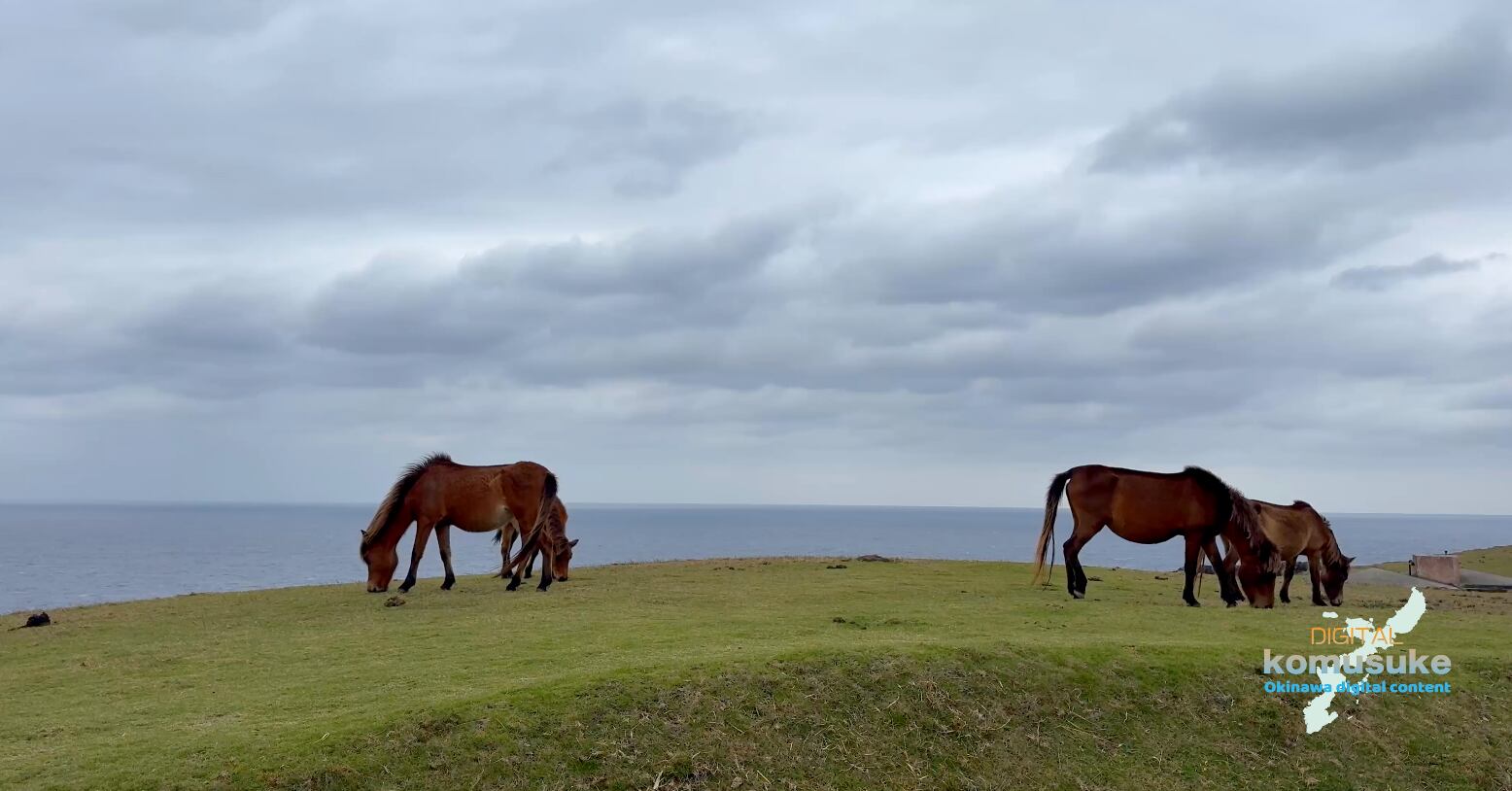 ◎与那国東埼灯台2月-003(4K)30秒