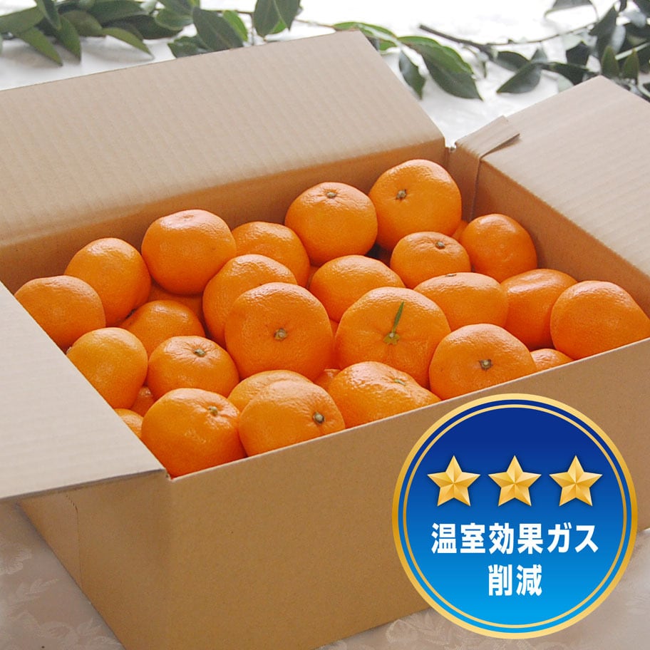 温州みかん 3kg ＆ 西洋はちみつ 160g | 曽根花卉 SONEKAKI