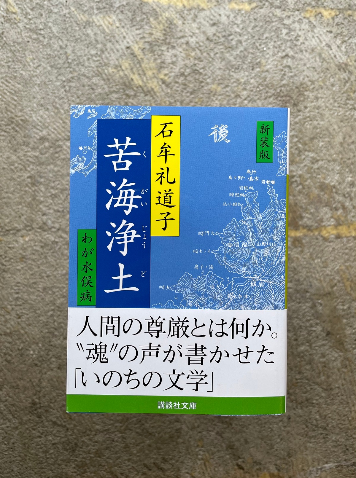 苦海浄土 Standard Bookstore