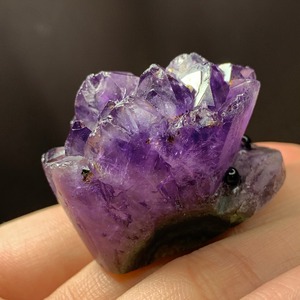 4アメジストクラスター・ハリネズミ