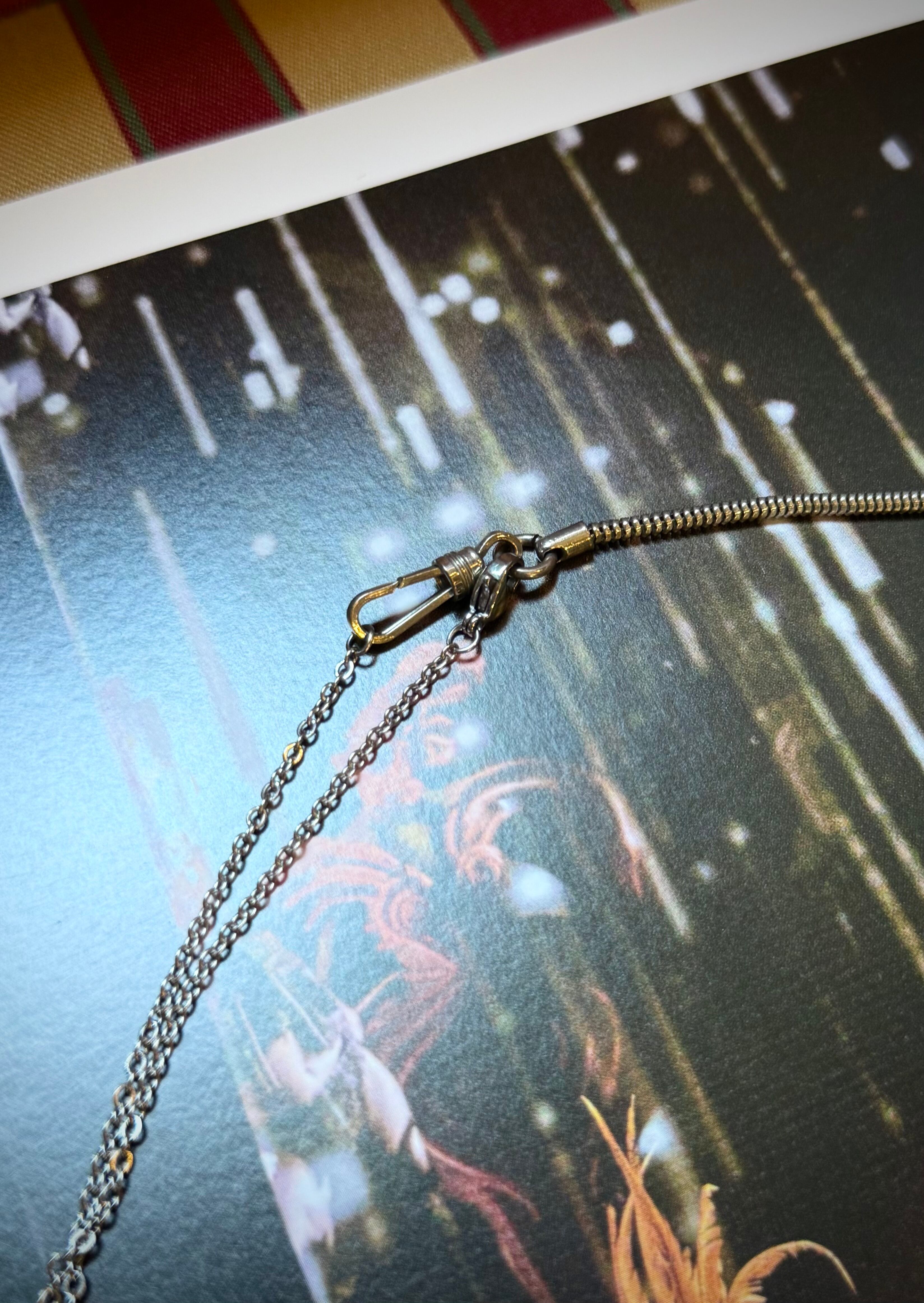 Jean Paul GAULTIER」 | タナゴコロータス tanagocolotus