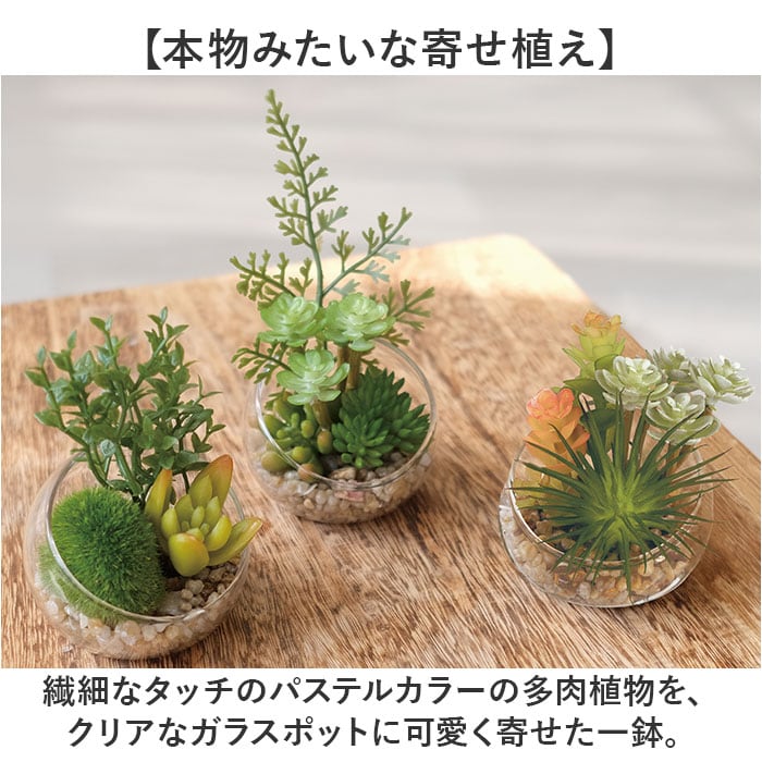 CT触媒 フェイクグリーン 通販 キシマ Sサイズ アーティフィシャル