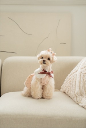 予約  【pecoramou select】Vintage Rose Dress （Brown Ribbon）