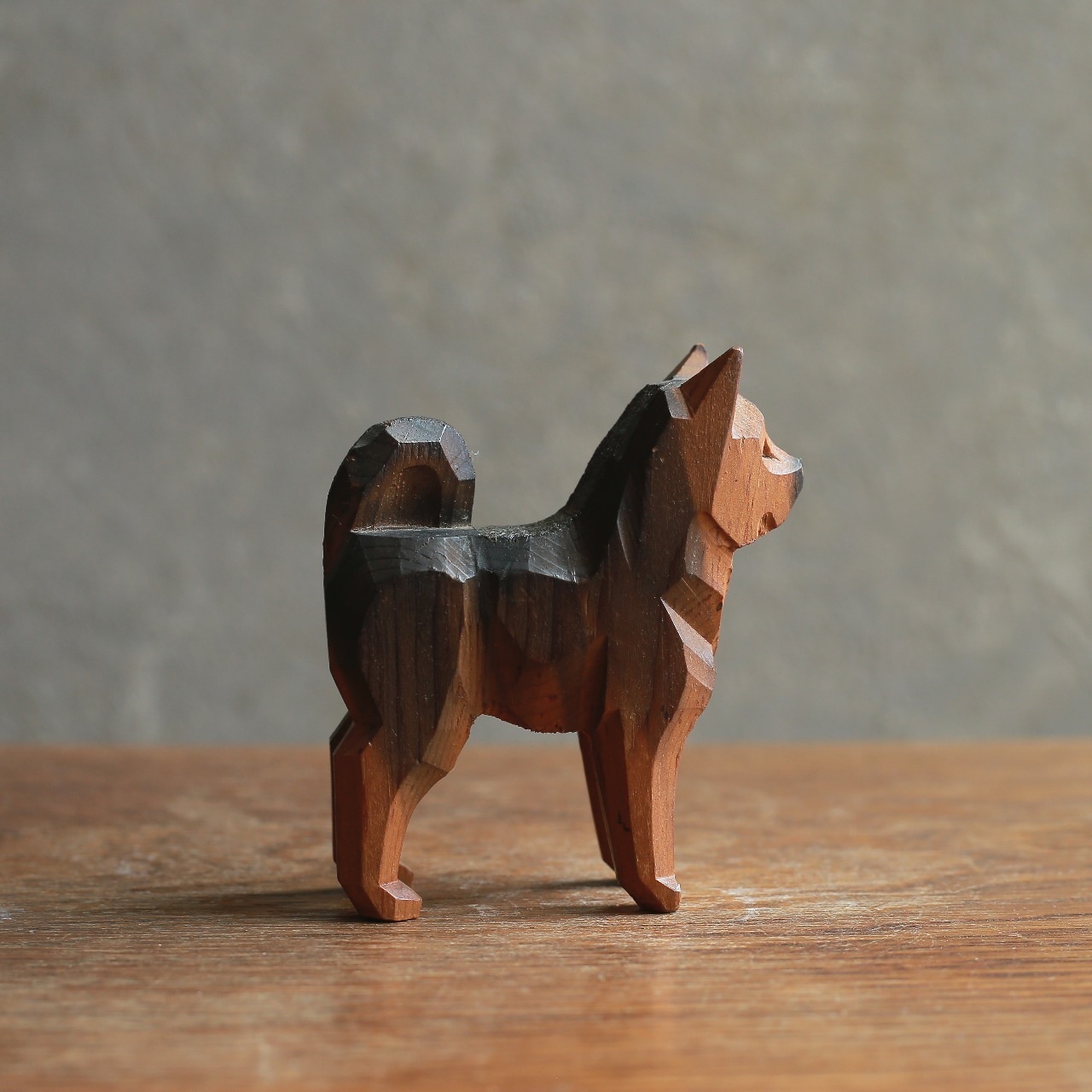 凛々しい立ち姿で、熱い視線を送る犬 1