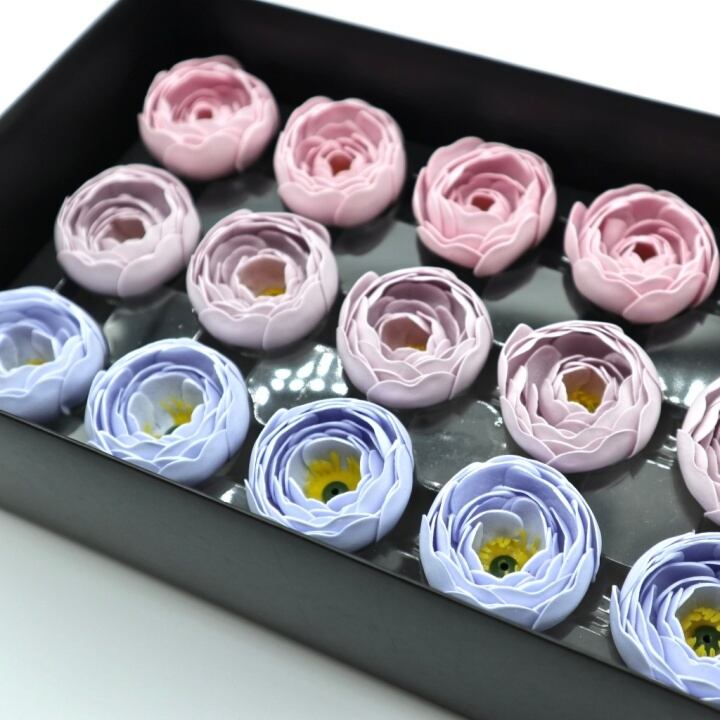 ラナンキュラスN-MIX4薄ブルー+薄紫(15輪入り)