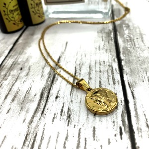 ステンレスマーキュリーダイムリバティコインネックレスゴールド