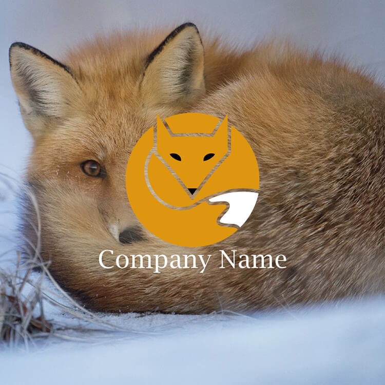 きつねページ MAISON KITSUNE メゾンキツネ バケットハット BOLD FOX HEAD