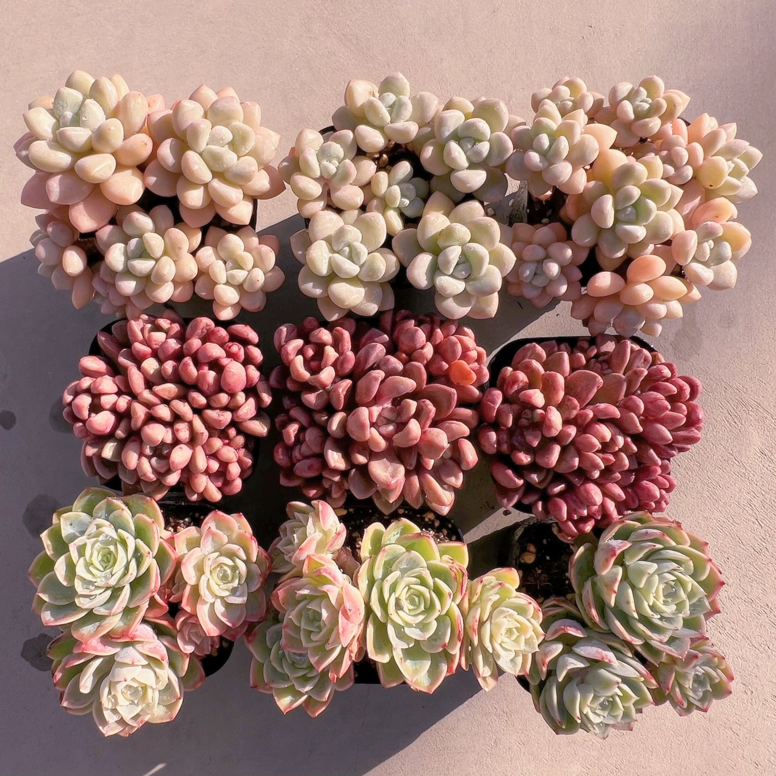 BASE販売会セット006