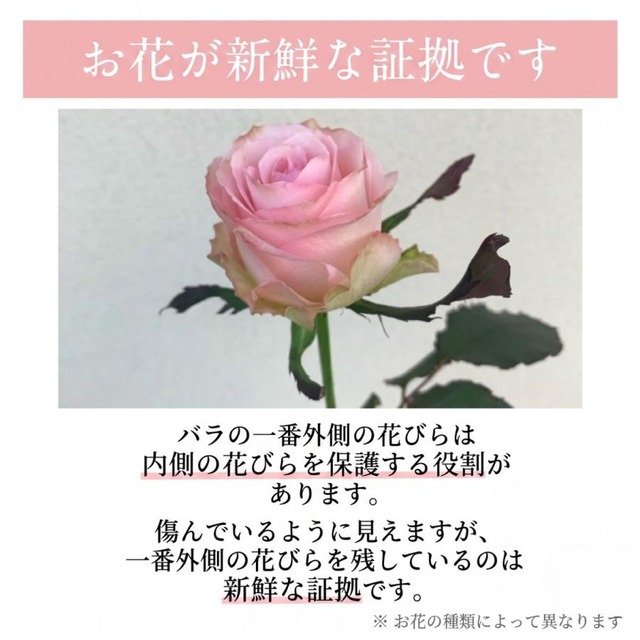 生花アレンジメント　Sサイズ