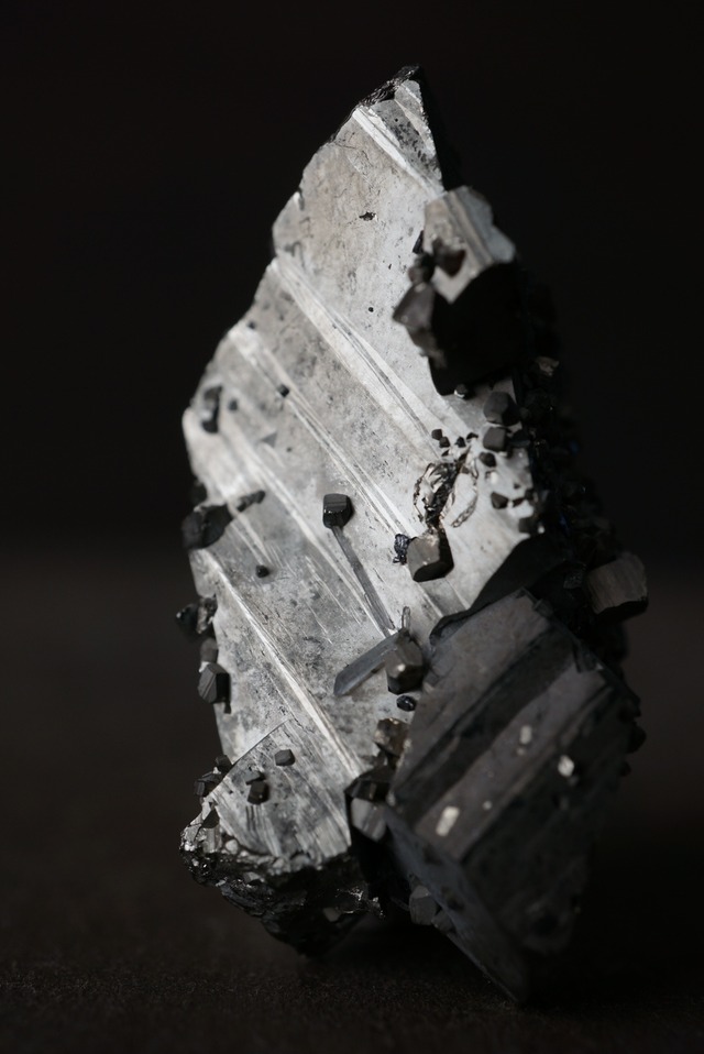 ブルガリア産パイライト/クォーツ Pyrite / Quartz 1699