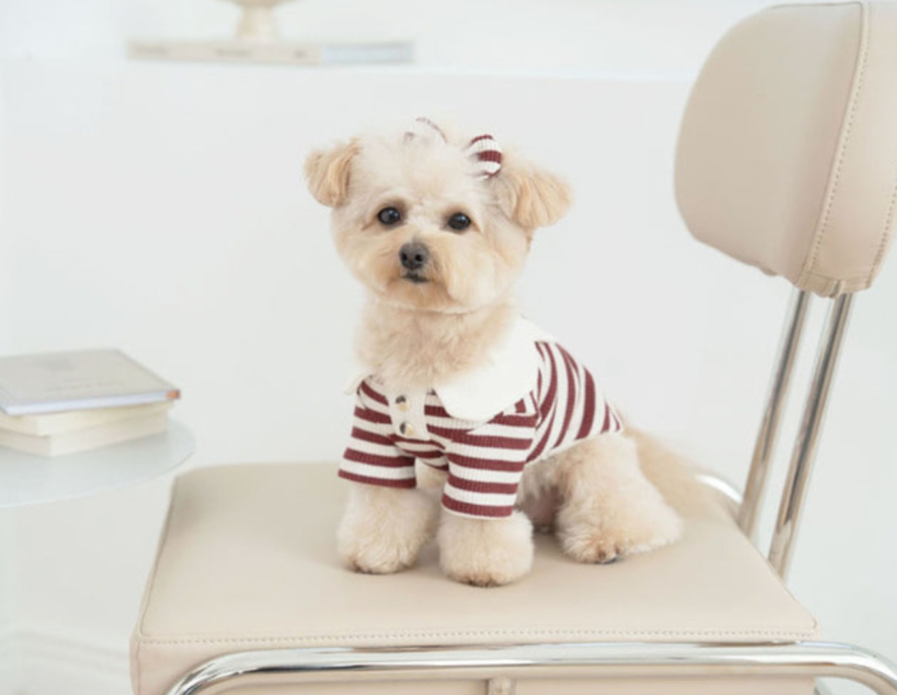 即納【Tio lio】ワッフルベアーカラーシャツ　ワインレッド